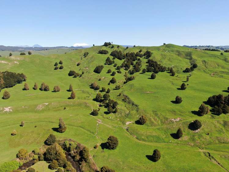 433 Pungapunga Valley Road Taumarunui_5