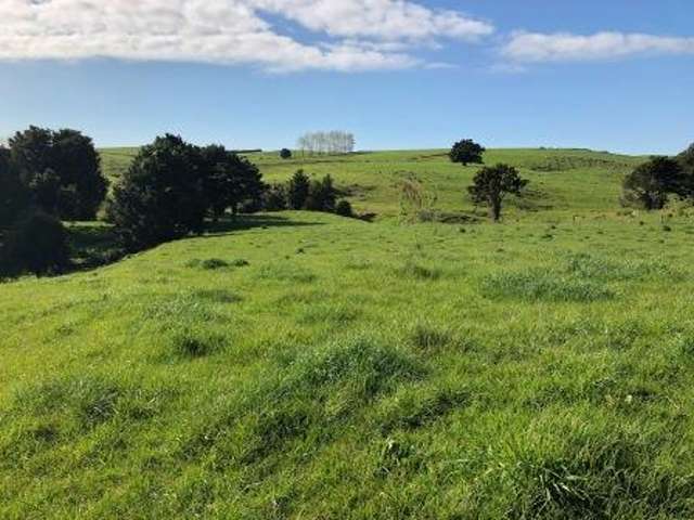 Whakataha Road Waimate North_1