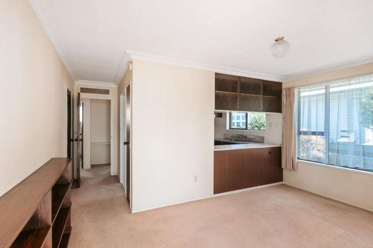 78b Sixth Avenue Tauranga Central_10