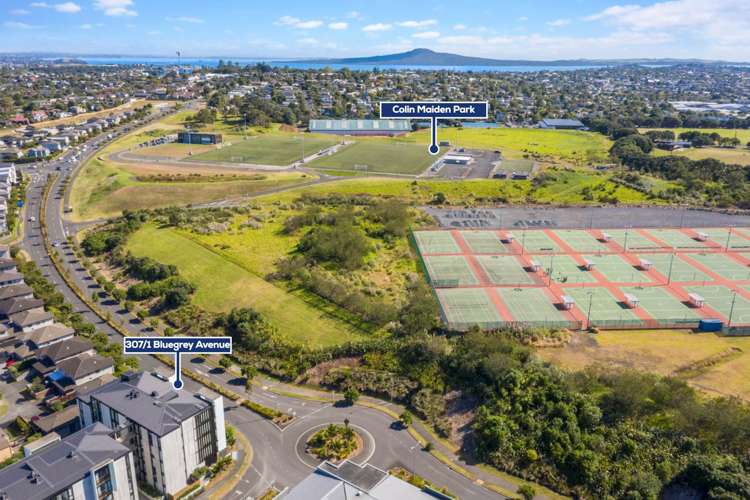 307/1 Bluegrey Avenue Stonefields_18