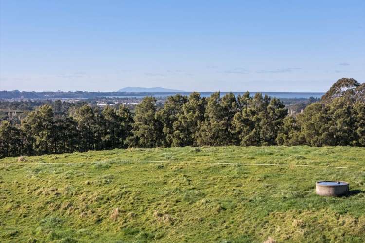263 Hot Springs Road Katikati_5