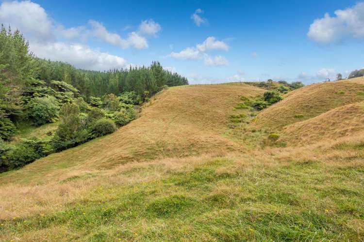 88 Scott Rd Te Awamutu_33