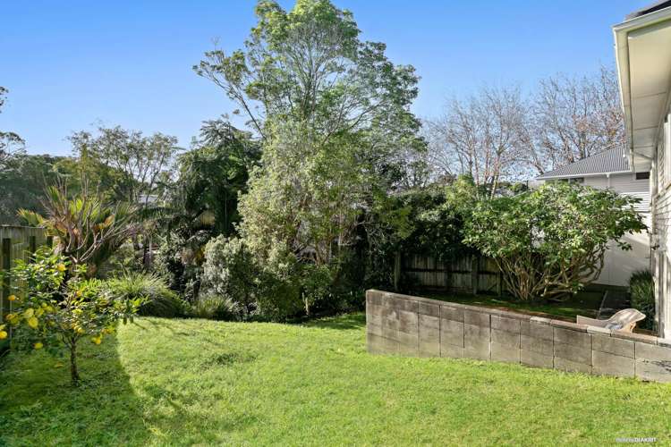 35 Francis Street Grey Lynn_5