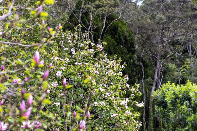 60 Robinson Road Coatesville_20