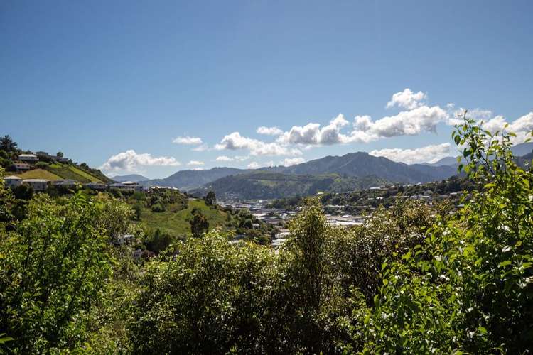 79 Montreal Road Toi Toi_14