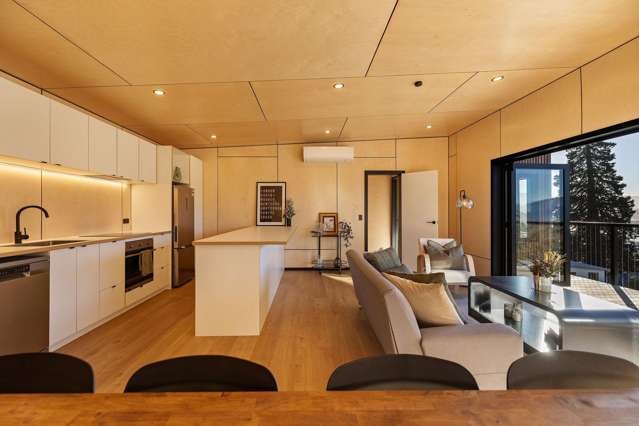 12A St Peters Place Queenstown_1