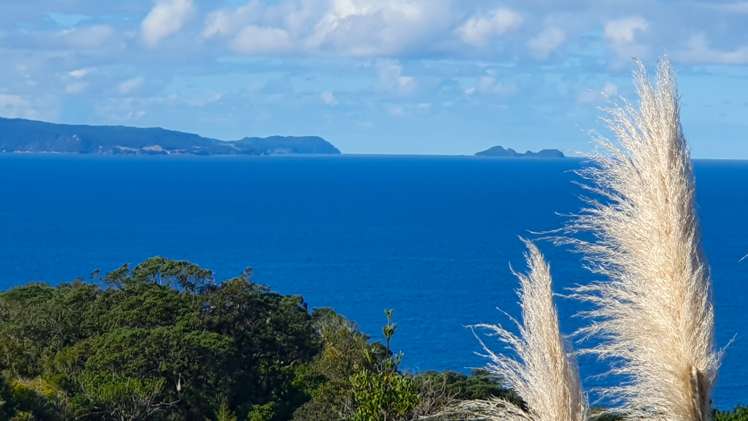 457 Tuateawa Road Tuateawa_8