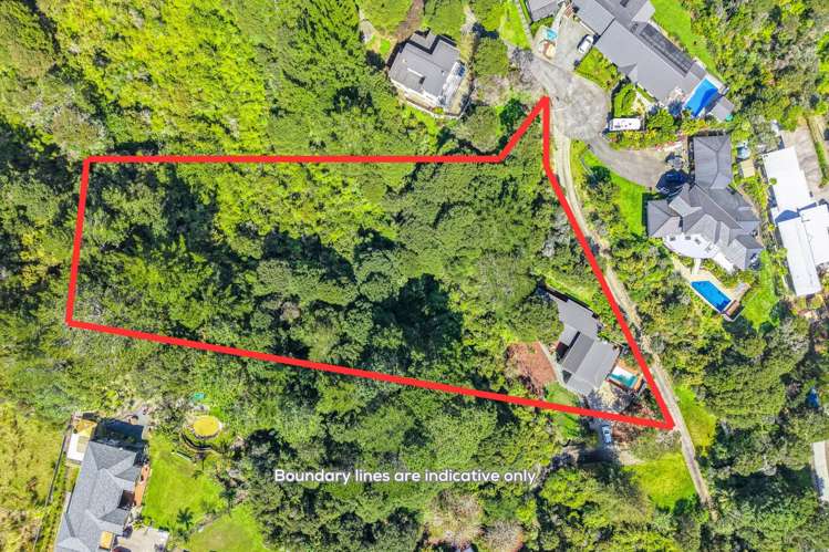 92B Scott Road Stanmore Bay_26