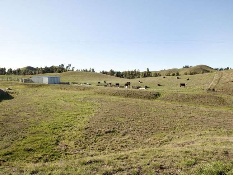 328 Caseys Road Seddon_20