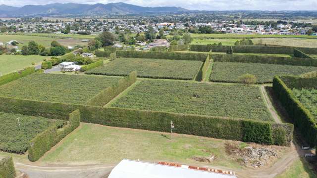 170 State Highway 35 Tirohanga_4