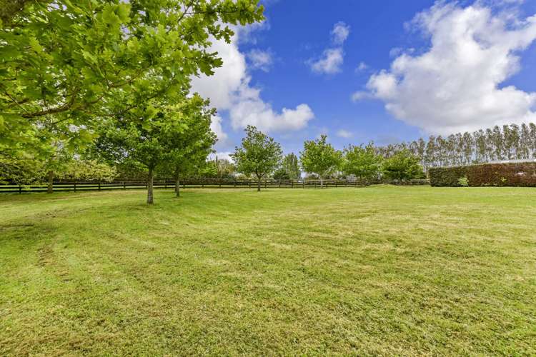 41 Postman Road Dairy Flat_17