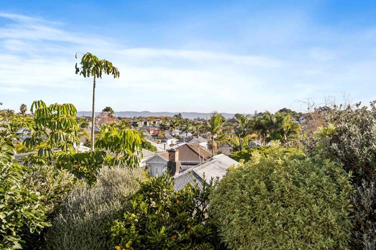 59 John Street Ponsonby_15