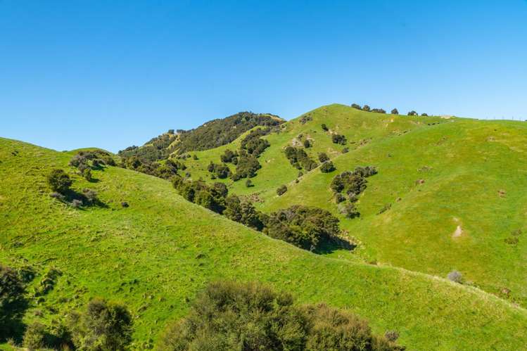 600 Hundalee Road Kaikoura_49