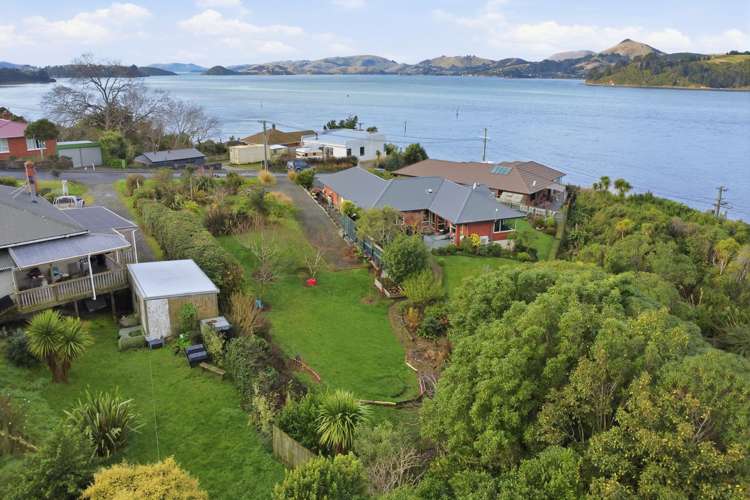 3A Weka Street Saint Leonards_5
