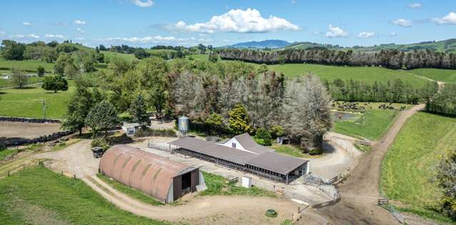 774 Buckland Road Matamata_1
