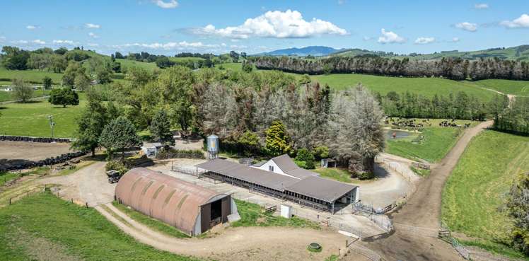774 Buckland Road Matamata_1