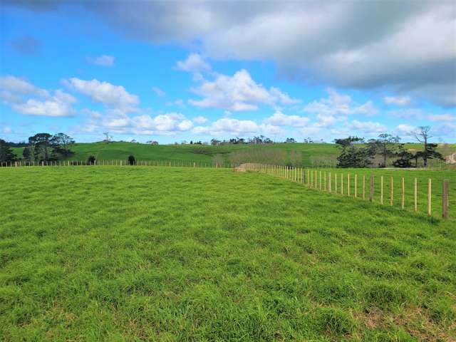 Lot 2 110 Colville Road Dargaville_3