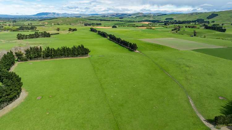 1443 Omihi Road Omihi_19