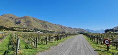 2254 Mouse Point Road_1