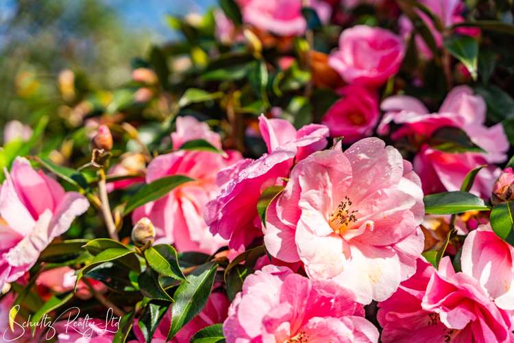 2 Cliff Street Paparoa_41