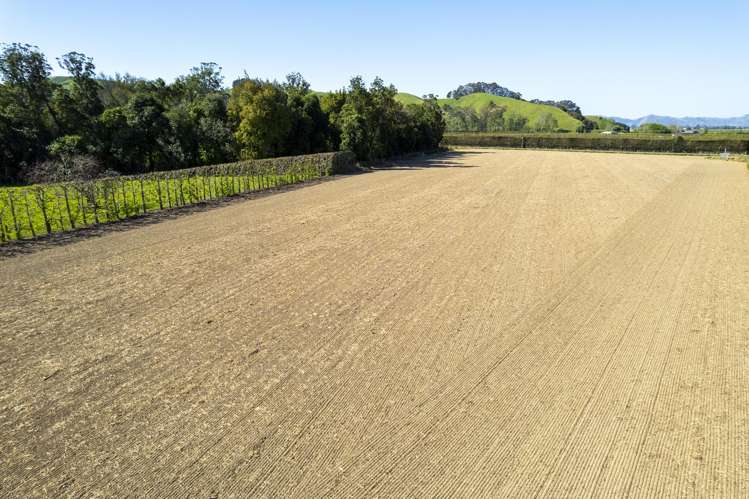 374 Papatu Road Manutuke_40