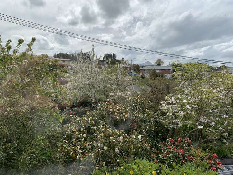 11 Ross Street Balclutha_12