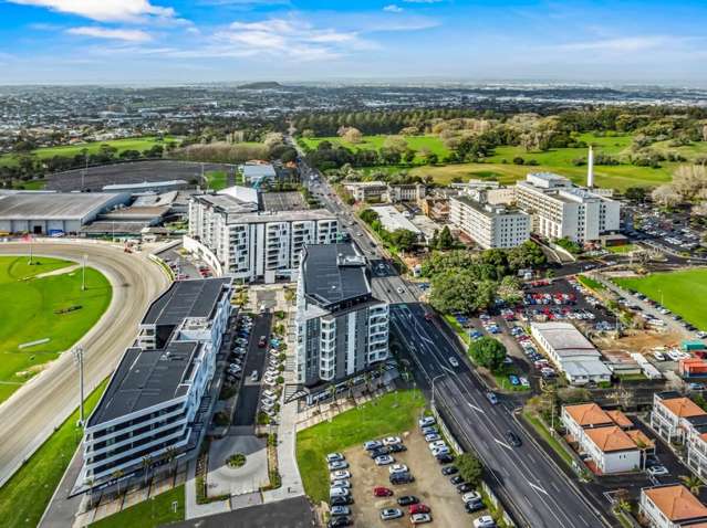 223 Greenlane West Epsom_2