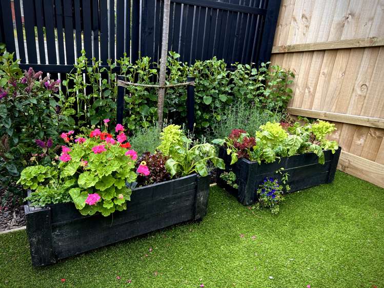 1/80 Milton Street Somerfield_13