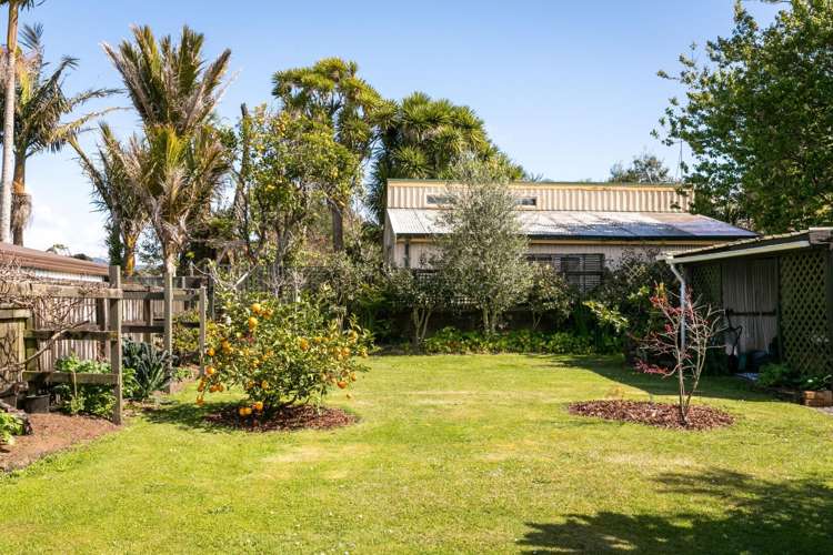 51 Poland Street, Waikino Waihi_18