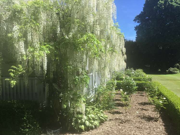 21 Mitchells Road Bankside_22