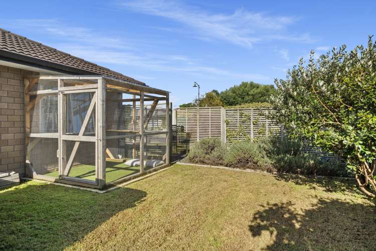 3 Oakwood Way Papamoa_11