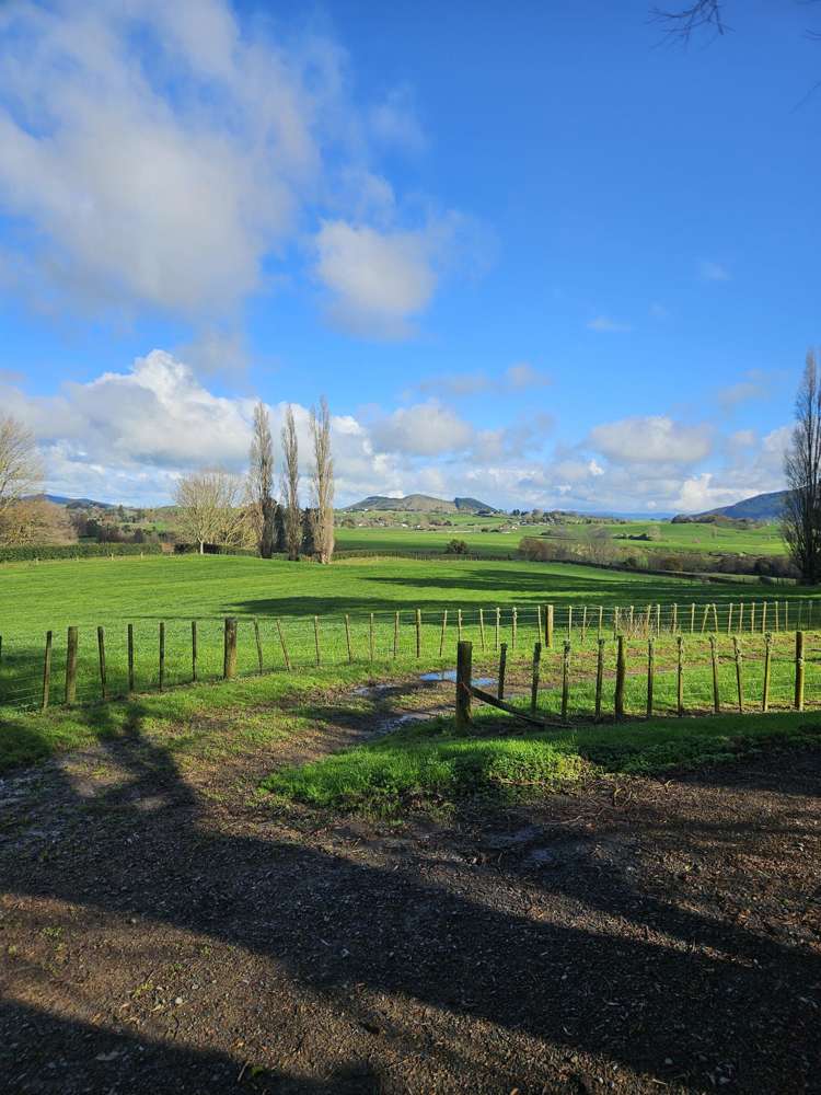 275 St Leger Rd Kihikihi_28