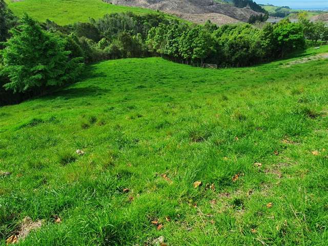 Lot 20 Middle Ridge Road Te Puke_1