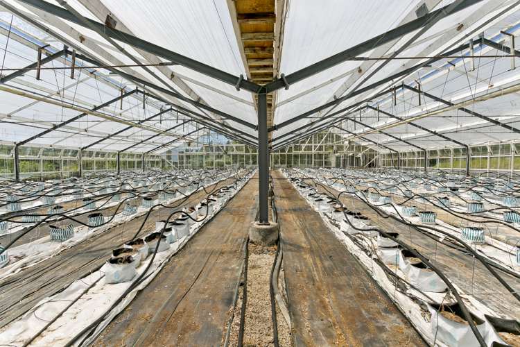 146 Top Road Dairy Flat_12