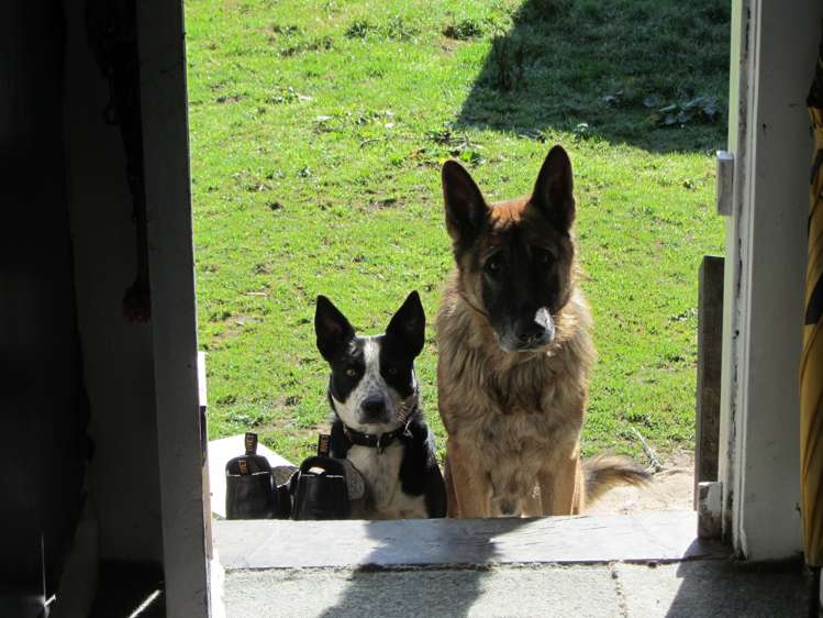 29 Cullen Street Eketahuna_22