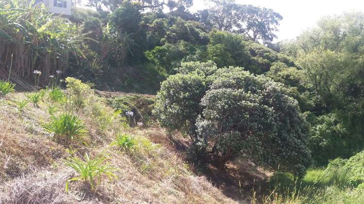 3 Whangaumu Street Tutukaka_23