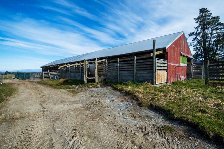 347 Butlers Road Fairlie_12