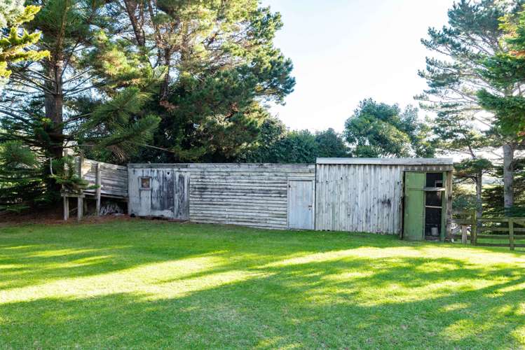 151 Colville Road Dargaville_19