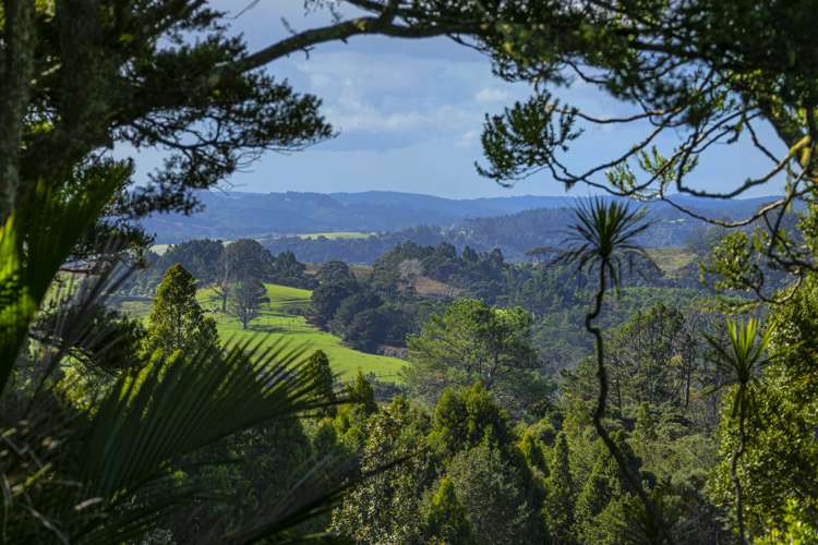 103 Hinau Road Waimauku_20