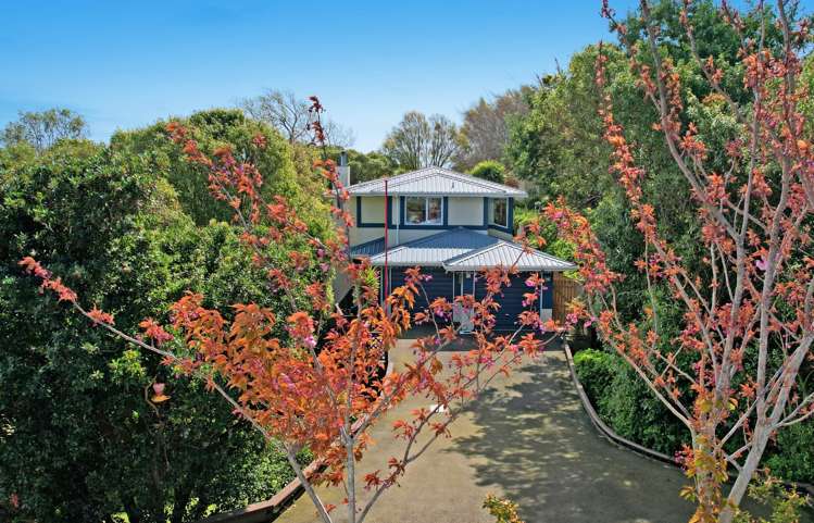 85 Belford Street Waverley_21