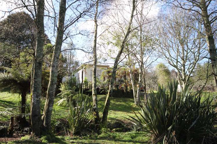 30 Lambert Street Waihi_19