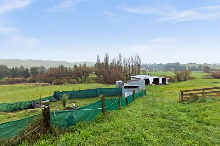 1228 Ohiti Road Crownthorpe_19