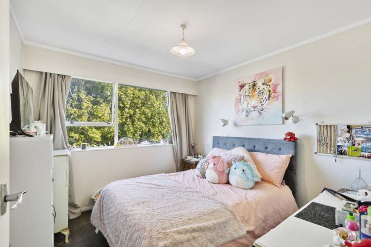 11 Pirinoa Street Feilding_9