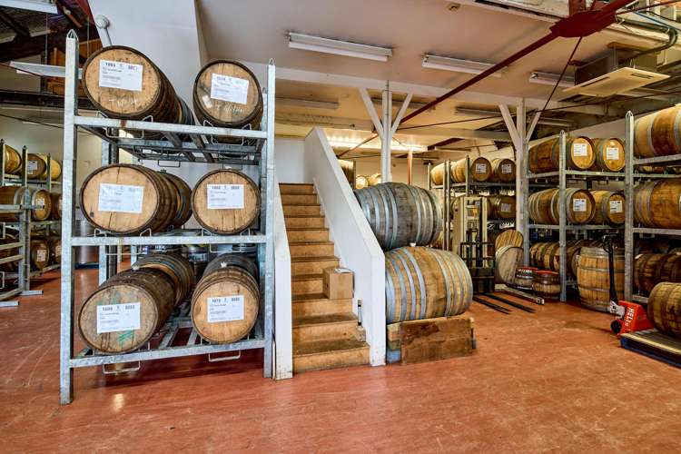 7 Marion Street Te Aro_15