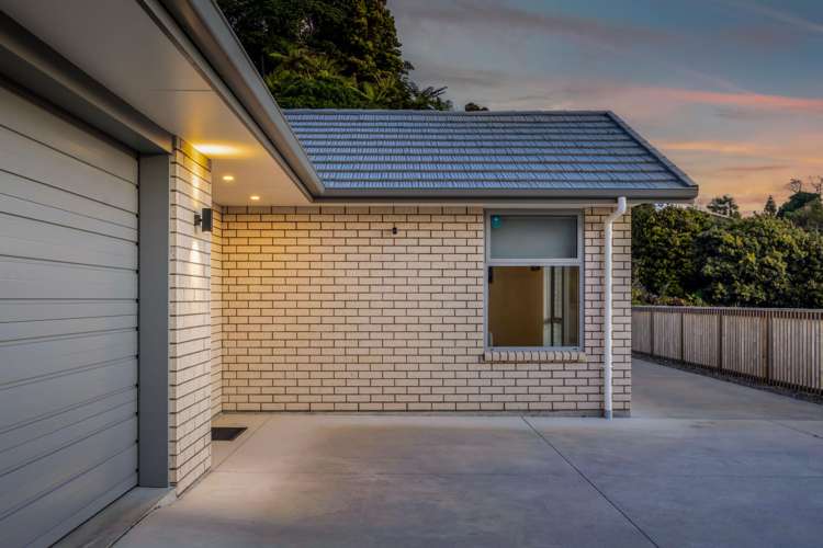 30B Sycamore Grove Lower Vogeltown_35