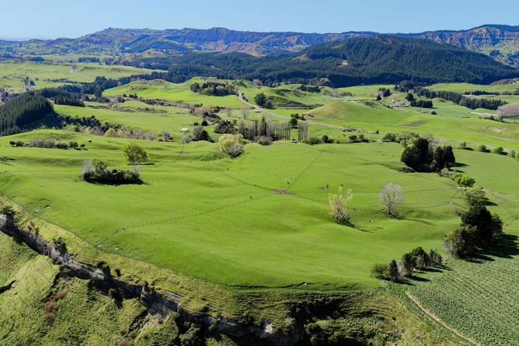 468 Waikoau Road_0