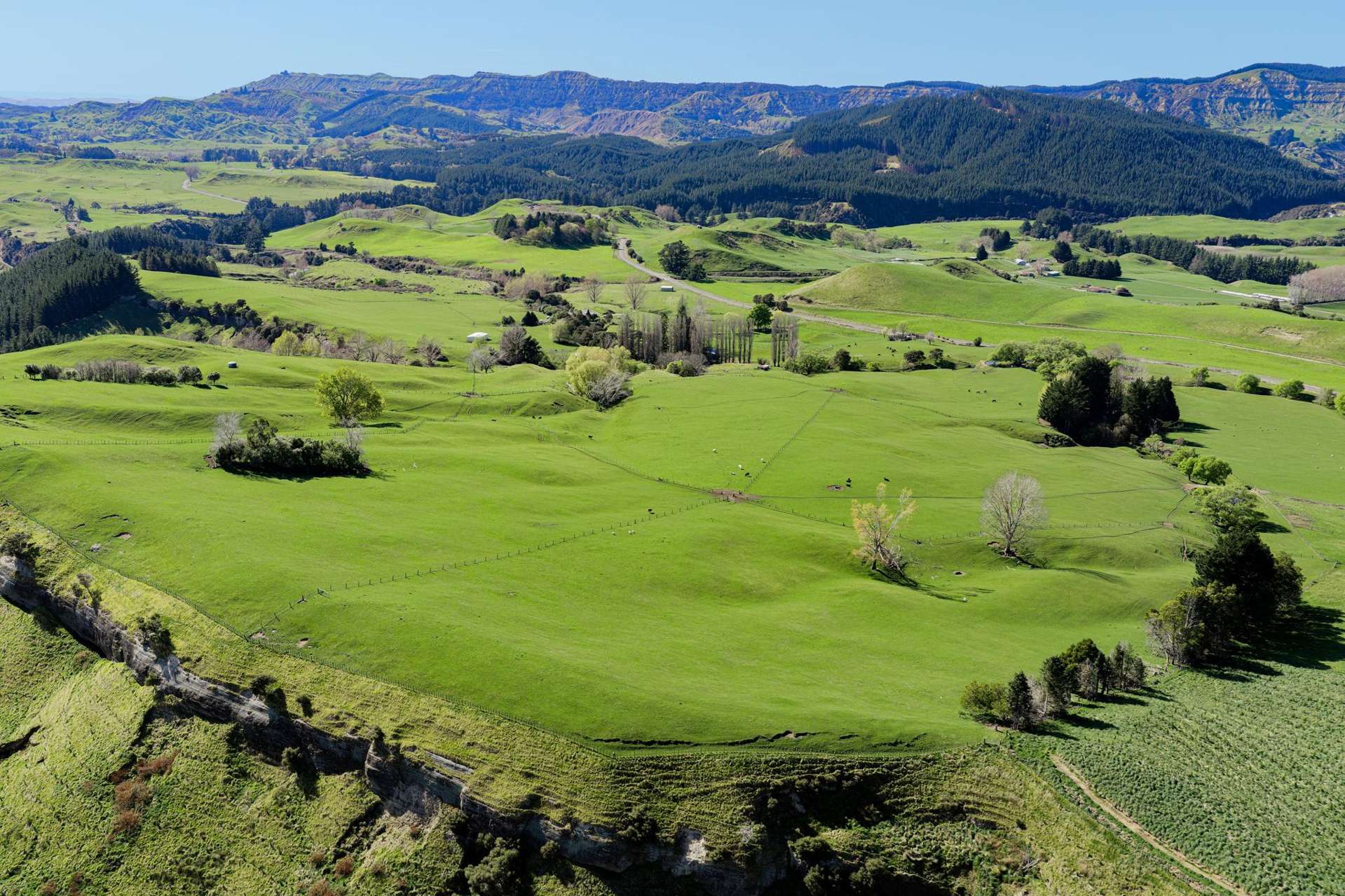 468 Waikoau Road Tutira_0