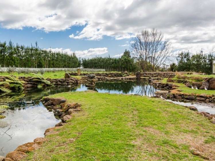 145a Waimate North Road Kerikeri_6