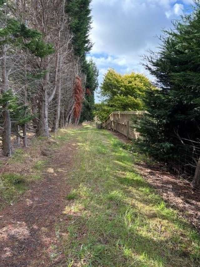 190 Otatara Road New River Ferry_4