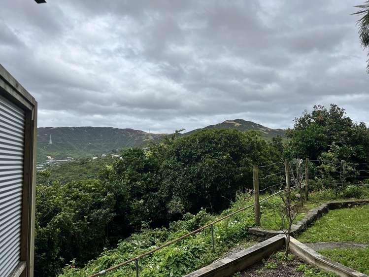 1/258 Cockayne Road Ngaio_11